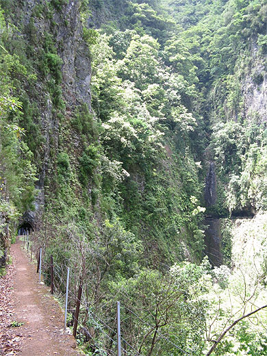 Levada de Ribeira da Janela