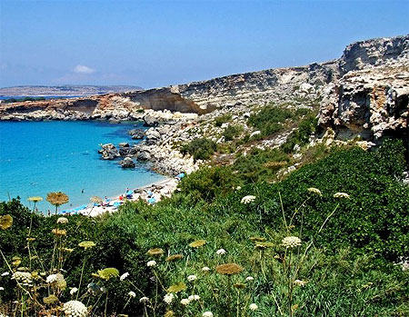 Paradise Bay