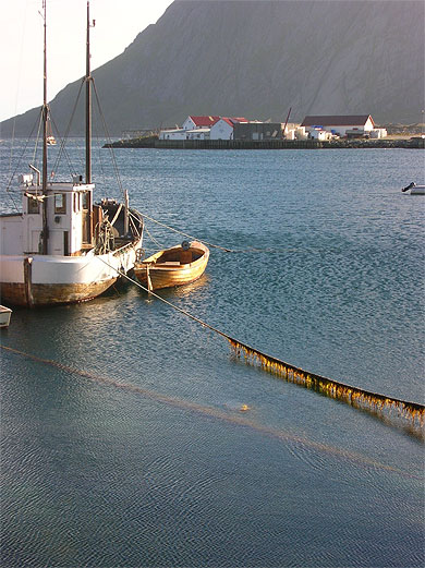 Alguez les amarres !