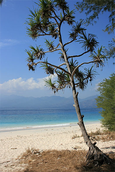 Gili Meno