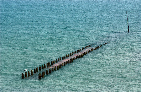 Cancale, les hu�tres