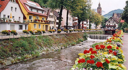 Schwarzwald