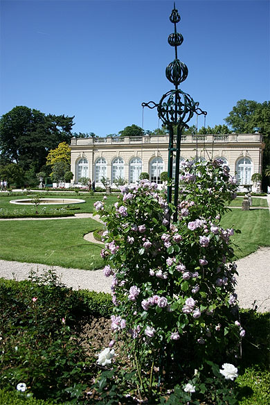 La roseraie du parc de Bagatelle