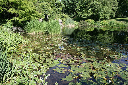 Etang du parc de Bagatelle