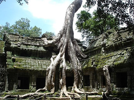 Magic Cambodge