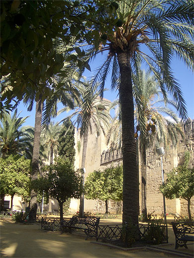 Cordoue