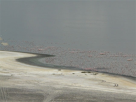 Vue du Lac avec les Flamants depuis Babboon Cliff