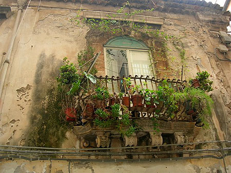 Fen�tre