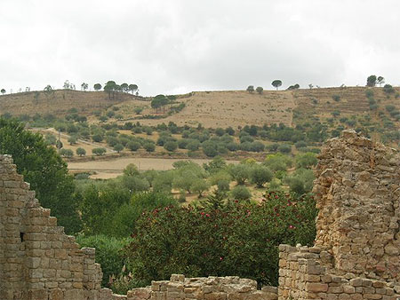 Paysage 