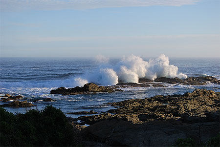 Tsitsikamma National park