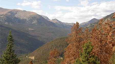 Pr�lude d'Automne