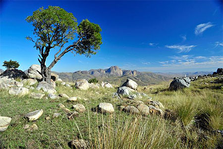 Parc de l'Andringitra