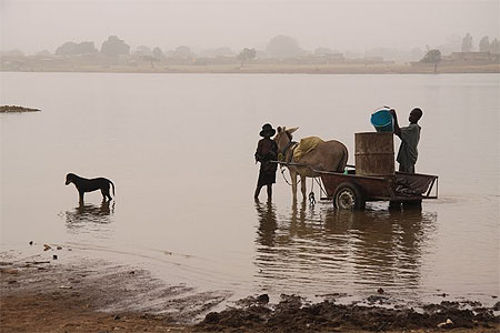 Corv�e d'eau