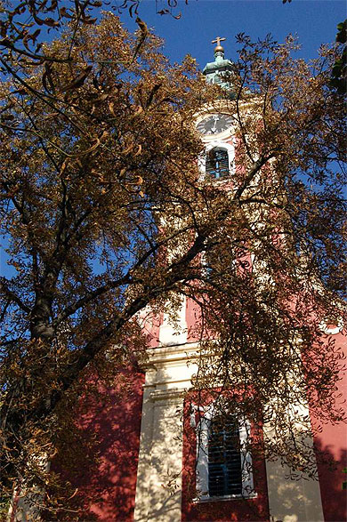 Eglise serbe de Szentendre en automne
