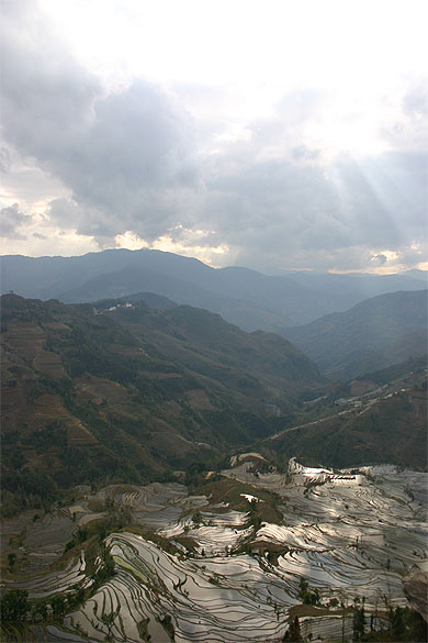 Rizi�res en terrasse yuanyang