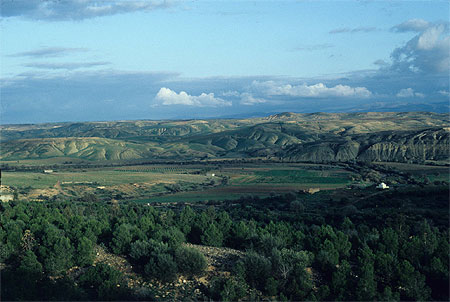 Vall�e de la tafna