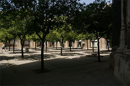 Dans les jardins de la Catedral
