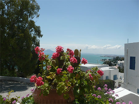 A Sidi Bou Sa�d 