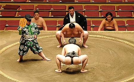 Sumo