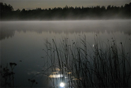 Lumi�re de lune