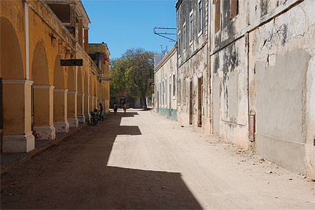 Rue 