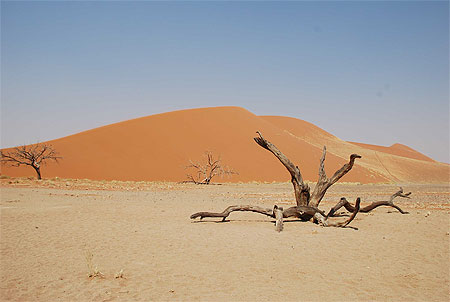 Dune 45