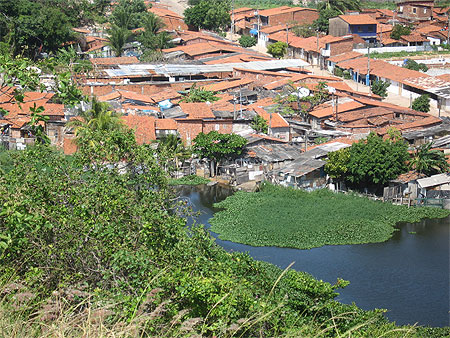 Favela