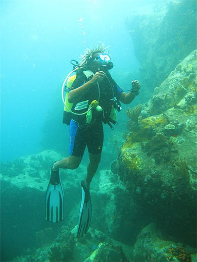 Plong�e Guadeloupe