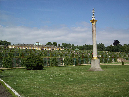 Vignoble en terrasse