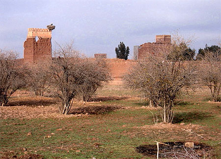 Ancien village en cigognes