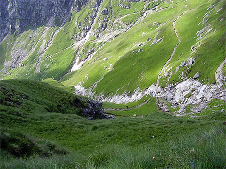 Bucegi