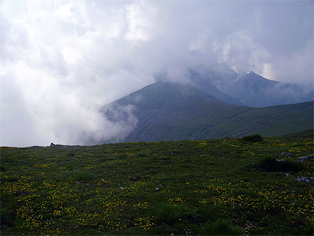Bucegi