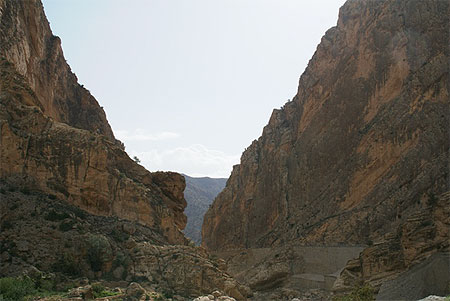 Paysages 