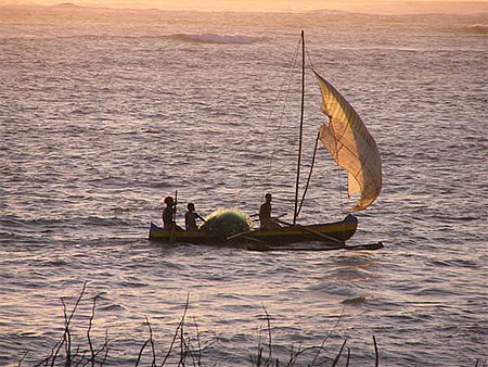 Pirogue Vezo
