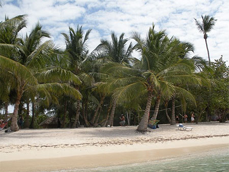 Ile de Saona en R�publique Dominicaine