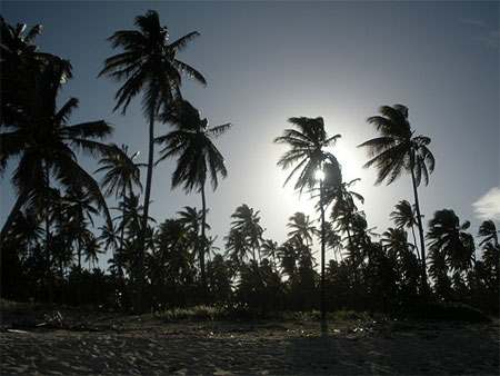 Plage de Punta Cana