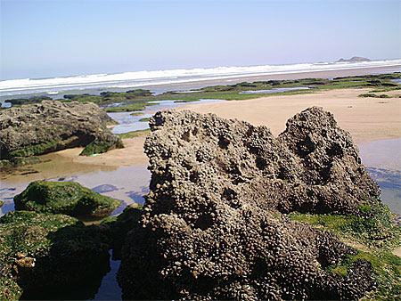 Essaouira