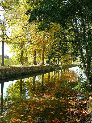 Reflets d'Argent