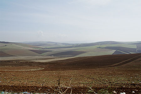Paysages autour du site de Tiddis