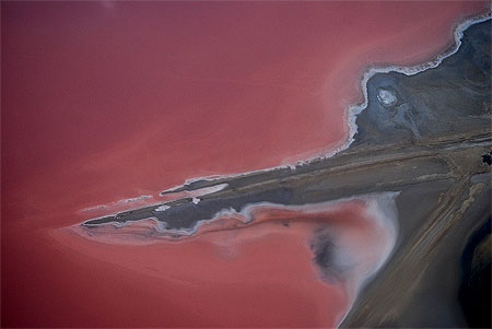 Camargue