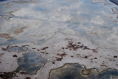 Camargue