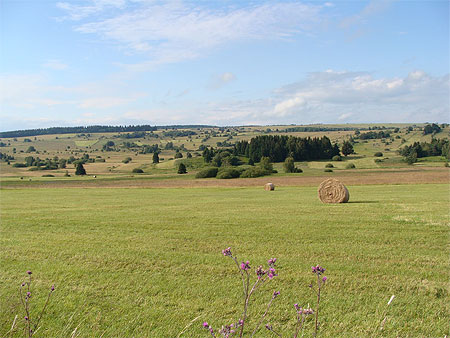 Hochrh�nstrasse (810M)
