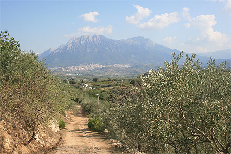 Paysage de la Barbagie
