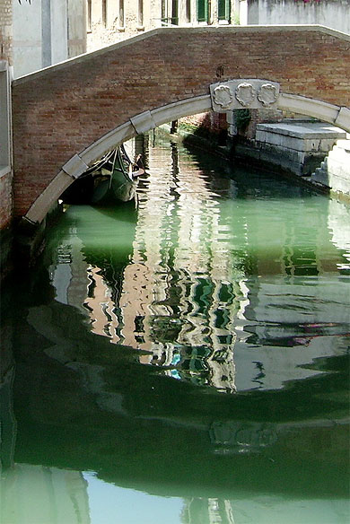 Reflets dans l'eau verte 