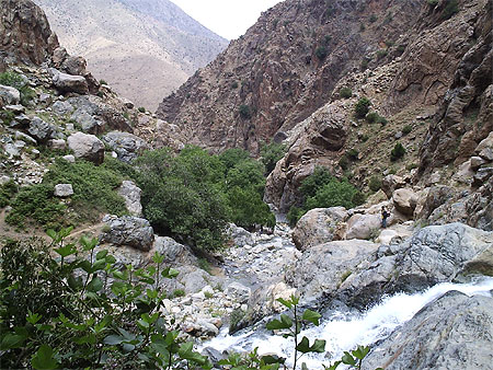 Ourika