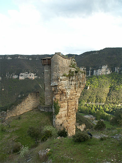 Ch�teau de Peyrelade