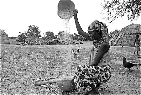 S�paration des graines de mil et du son