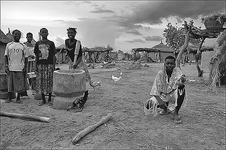 Les enfants au pigeon