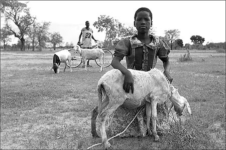 La petite fille au mouton