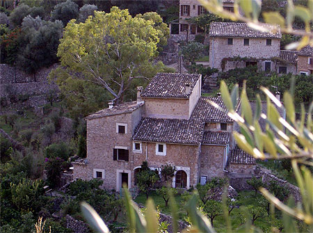 Village